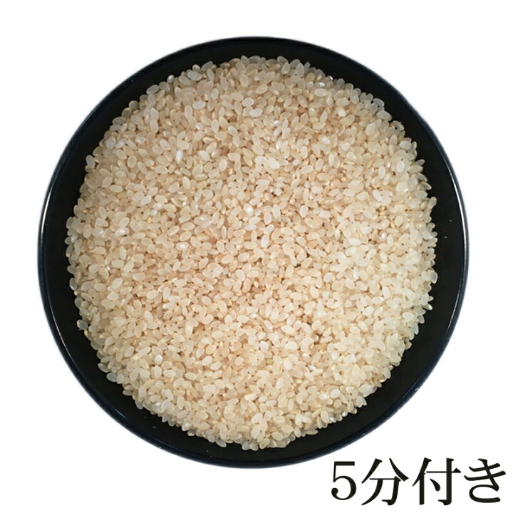 楽天市場】期間限定P10倍 米 玄米 30kg 銀河のしずく 30kg×1袋 令和7 
