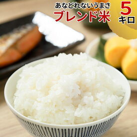 米 ブレンド米 玄米5kg 白米 4.5kg 無洗米 4.5kg 国産 送料無料 徳用 お試し 業務用 訳あり ご家庭用 令和7年度 当日精米