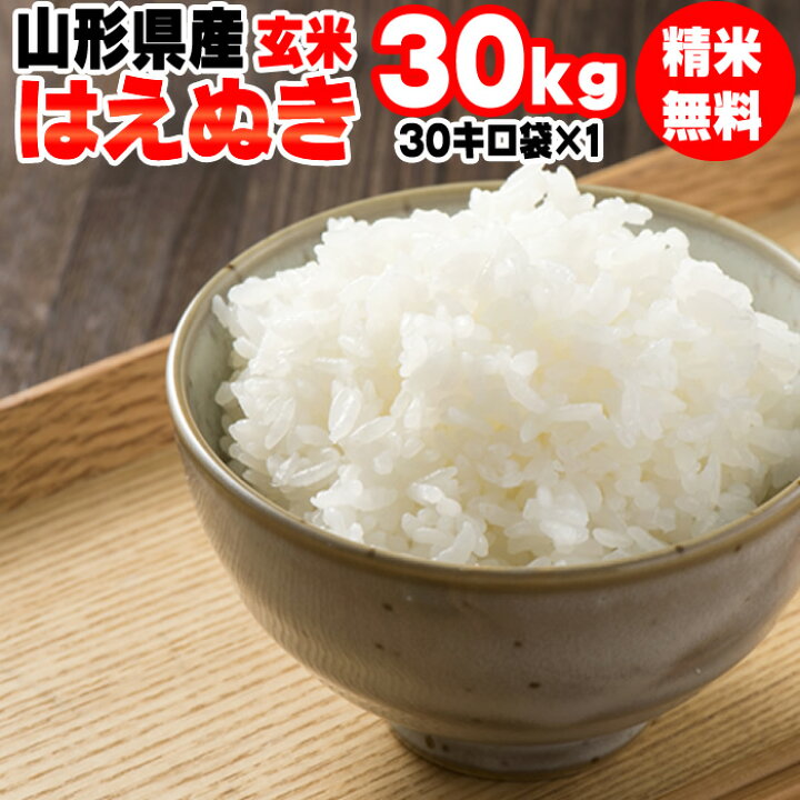 楽天市場】新米 米 送料無料 当日精米 令和6年度産 山形県産 お米 