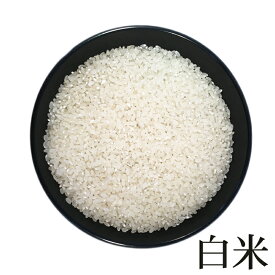 米 玄米 20kg あきたこまち 10kg×2袋 令和5年産 山形県産 精米無料 白米 無洗米 分づき 当日精米 送料無料