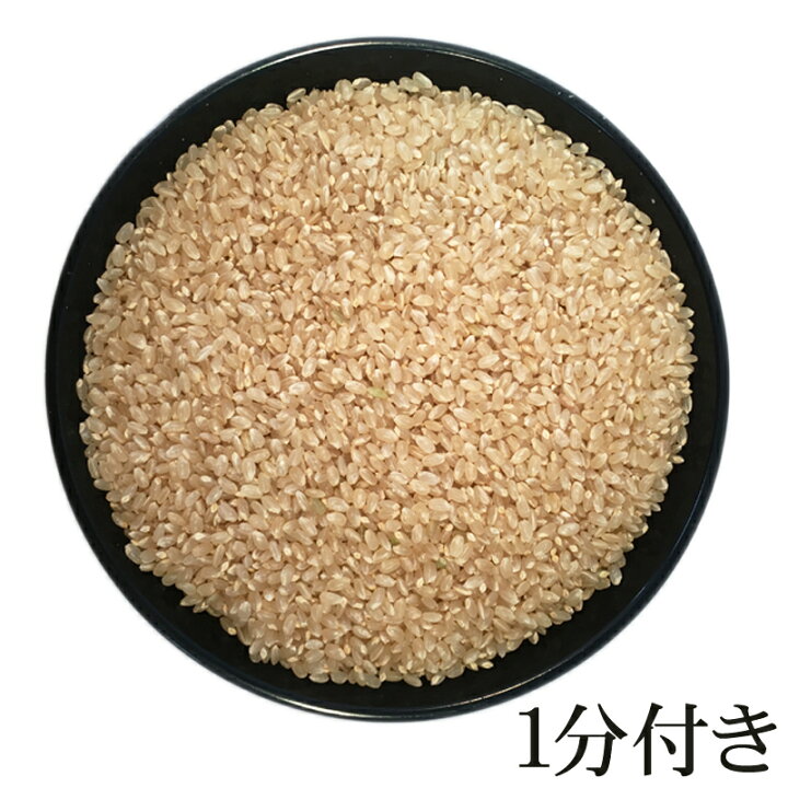 楽天市場】期間限定P10倍 米 玄米 30kg 銀河のしずく 30kg×1袋 令和7 