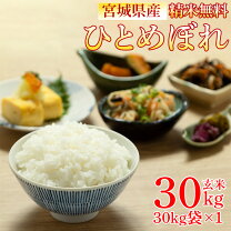 楽天市場】あさひの夢 玄米 30kgの通販