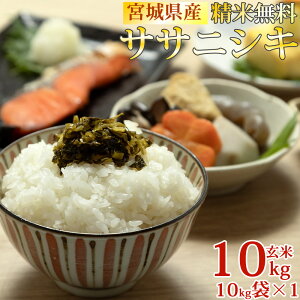 新米 米 玄米 10kg ササニシキ 10kg×1袋 令和7年産 宮城県産 精米無料 白米 無洗米 分づき 当日精米 送料無料