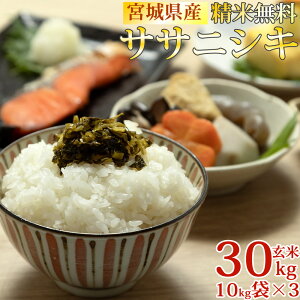 新米 米 玄米 30kg ササニシキ 10kg×3 袋令和7年産 宮城県産 精米無料 白米 無洗米 分づき 当日精米 送料無料