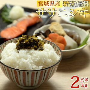 V   2kg TTjVL ߘa7NY {錧Y Ė   Â  