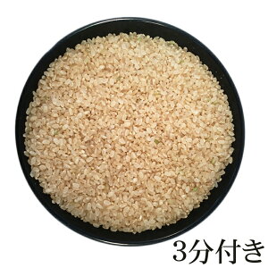 新米 米 玄米 2kg あきたこまち 令和5年産 山形県産 精米無料 白米 無洗米 分づき 当日精米 送料無料