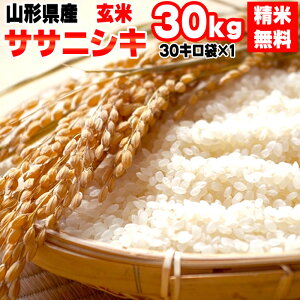 白米 玄米の人気商品 通販 価格比較 価格 Com