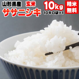 米 玄米 10kg ササニシキ 10kg×1袋 令和5年産 山形県産 精米無料 白米 無洗米 分づき 当日精米 送料無料