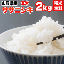 米 玄米 2kg ササニシキ 令和5年産 山形県産 精米無料 白米 無洗米 分づき 当日精米 送料無料