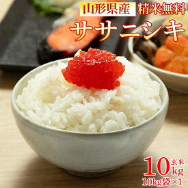 米 玄米 10kg ササニシキ 10kg×1袋 令和7年産 山形県産 精米無料 白米 無洗米 分づき 当日精米 送料無料