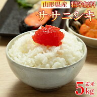 新米 米 玄米 5kg ササニシキ 令和8年産 山形県産 精米無料 白米 無洗米 分づき 当日精米 送料無料 置き…