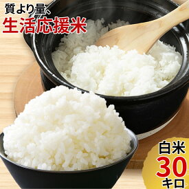 令和7年度 国産米 30kg 生活応援米 白米30kg ×1袋 送料無料 徳用 お試し 業務用 訳あり ご家庭用 （当店ブレンド米より下ランク）