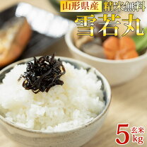 楽天市場】玄米 1分づきの通販