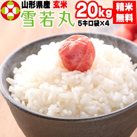 米 玄米 20kg 雪若丸 5kg×4袋 令和5年産 山形県産 精米無料 白米 無洗米 分づき 当日精米 送料無料