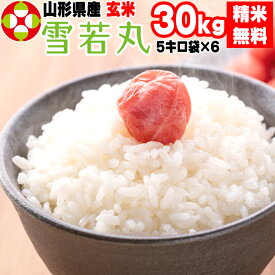 米 玄米 30kg 雪若丸 5kg×6袋 令和5年産 山形県産 精米無料 白米 無洗米 分づき 当日精米 送料無料