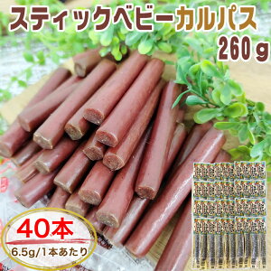 XeBbNJpX 40{ 260g(6.5g×40) [  e  T~ َq   |Cg ܂ Hi NP  [T~ XeBbNJpX 6.5g×40{ BL]