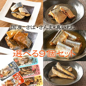 国産 さば いわし [選べる鮮冷×9袋] 保存料・化学調味料不使用 時短商品 送料無料