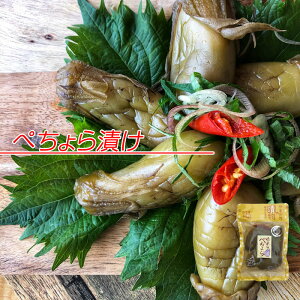 Ԍ|Cg10{  R`̒Е ؂Ђ[؂Ђ140g BS]@[ NP 