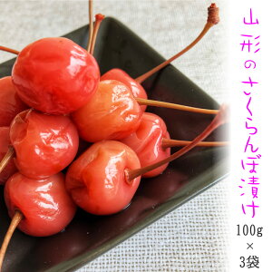 R`̒Е TN{  Е [ڒ100g×3 BM]  [ NP 