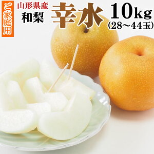 \̔ 8{`9{ R`Y a K 10kg 28`44 (5kg×2)  ƒp [K10L]