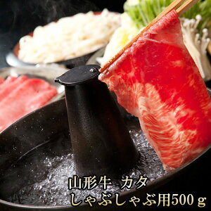  Mtg ① [R`@J^@Ԃԗp@500O]