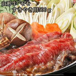 Ԍ10%off  Mtg ①  [R`  Ăp 500O]