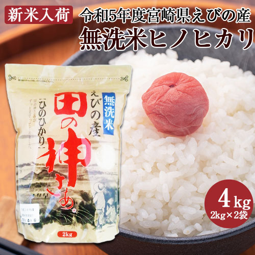 無洗米宮崎県えびの産ヒノヒカリ 4kg（2kg×2袋） 令和5年産 - 米・雑穀