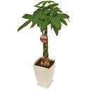 パキラ7号プラ鉢|(約85cm)観葉植物/新築祝い/開店祝い/誕生日プレゼント/結婚祝い/引越し祝い/モダン/インテリア/アジアン/通販/リビング/コーナー/編...