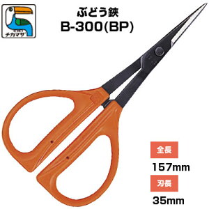 Ԃǂ ߐ/`J}T Ԃǂ B-300iBPjmԂǂ͂ E [ n  Ec Ԃǂ_ ʎ ό_ | _ IWF { v n