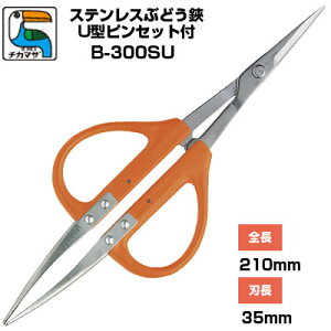 Ԃǂ ߐ/`J}T Ԃǂ  ͂ XeX U^sZbgt B-300SUm Ԃǂ E [ n  Ec XeX Kтɂ IWF Ԃǂ_ ό_ ʎ