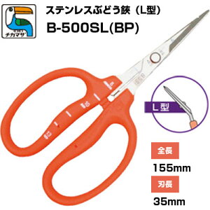 Ԃǂ ߐ/`J}T Ԃǂ XeX n L^ B-500SLiBPjmڐt Ԃǂ͂ E [ n  Ec Ȑn IWF j΍ Kтɂ { v 