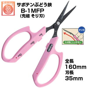 y݌ɂzyŒZz Ԃǂ T{e n NO.B-1MFPyT{e Ԃǂ͂ E [ n ڐt y XeX tbfR[g sNF n Kтɂ ʎH