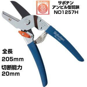  T{e Ar^ y×y NO.1257HyT{e ͂ Ar^Cv tbfR[g ʎ Ԃǂ ݂  S  ` F SObv ɂ ₷ _ ʎ 