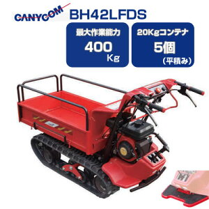 N[[^ }LjR BH42LFDS TCht[ yZzyőƔ\400Kg 20KgReiő5ύ Xebviqltjt N[^ _ ^ n
