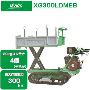 N[ ^ ^ AebNX XG300LDMEB yőƔ\300kg 20kgReiő4ύ ZtOHGW ^OJ tgor_v UN[ _ ^ GW ^