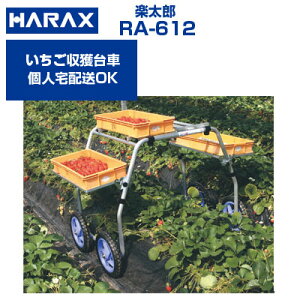 nbNX n yY RA-612 A~ ԁy2ZbgzylzOKzyOKz np A~ ^ In͔|y30kgύځiב䕔j10kgύځie[uj e[u