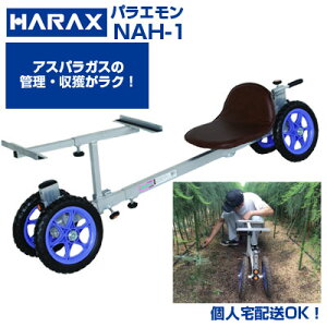 ylzOKzyŒZz nbNX l Ƒ NAH-1 pG yOKzyőgpח100kg 20kgRei1ډ pƑ AXpKX n At e Ԃ 