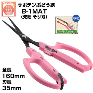 y݌ɂzyŒZz Ԃǂ T{e n NO.B-1MAT ͂ŎŊJyT{e Ԃǂ͂ E [ n ڐt y XeX tbfR[g sNF n K