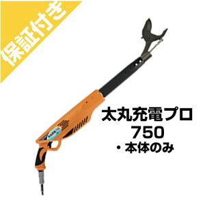 yv~AۏؕtzjVKLH ۏ[dv 750({̂̂)