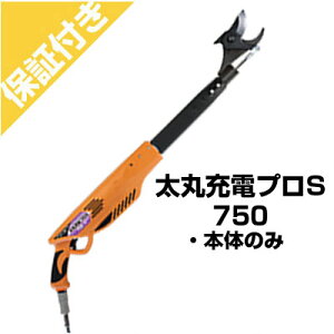 yv~AۏؕtzjVKLH ۏ[dv S750({̂̂)