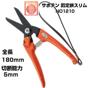 ����΂��� �T�{�e�� �X���������� NO.1210�y�T�{�e�� ����͂��� �ʎ� �Ԃǂ� �݂��� ���� �����S �� �` �t�b�f�R�[�g �I�����W�F �_�� �ʎ��� ���� ���| �v�� �ƒ�؉� �ؖ����Q �T�r�E���j��