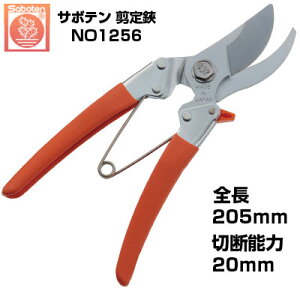 ����΂��� �T�{�e�� NO.1256�y�T�{�e�� ������ ����͂��� �ʎ� �Ԃǂ� �݂��� ���� �����S �� �` �I�����W�F �_�� �ʎ��� �ʎ��_�� ���� �v�� �ƒ�؉� ����ɂ��� ����₷�� �ؖ����Q�z