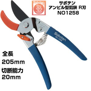 ΂ T{e Ar^ Rn NO.1258yT{e ͂ Ar^Cv ʎ Ԃǂ ݂  S  ` tbfR[g F SObv ₷ ɂ _ 