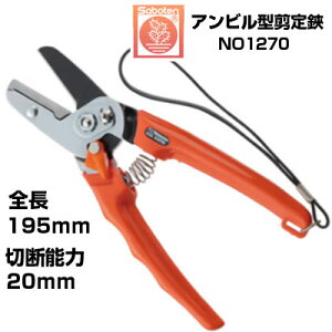 ΂ T{e Ar^ NO.1270yT{e ͂ Ar^Cv ʎ  Ԃǂ ݂  S  ` tbfR[g IW _ ʎ  v ƒ؉ ؖ