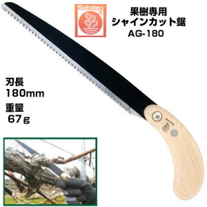 mRM T{e ʎpVCJbg180 NO.AG-180yʎp̂ y RpNg ʎ  Ԃǂ  ݂ ` S iV ؕ ֐n _ ʎ_ tbfH z