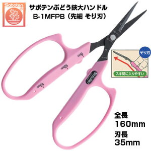 Ԃǂ T{e n nh NO.B-1MFPByT{e Ԃǂ͂ Ԃǂ ͂ E [n ڐt nh ʎH sNF XeX tbfR[g  nz