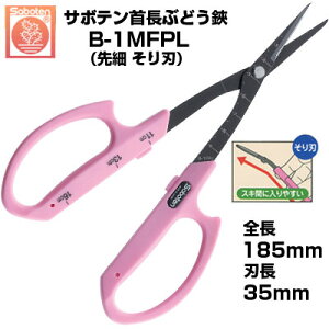 Ԃǂ T{e 񒷂Ԃǂ n NO.B-1MFPLyT{e ͂ Ԃǂ 񒷂Ԃǂ͂ E [ n ڐt sNF XeX tbfR[g  On n Sy 