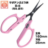 【在庫あり】【最短当日発送】 ぶどう鋏 サボテン 先丸 直刃 NO.B-6【サボテン ぶどうはさみ 摘粒 房作り…