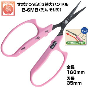 Ԃǂ T{e ۂn nh NO.B-6MByT{e Ԃǂ͂ E [ ڐt sNF XeX tbfR[g ېn n nh ʎH Ռz Sy