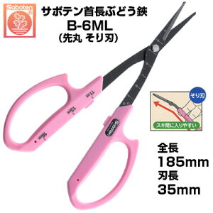 �Ԃǂ��� �T�{�e�� �񒷐�ۂ���n NO.B-6ML�y�T�{�e�� �񒷂Ԃǂ��͂��� ���n �E�� �[��� �ڐ��t�� �s���N�F �X�e�����X �t�b�f�R�[�g ��ېn �����O�n ����n ���S�y�� ���j�E�V�u�ɋ��� ��